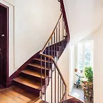 Paris\' Sunny Nest