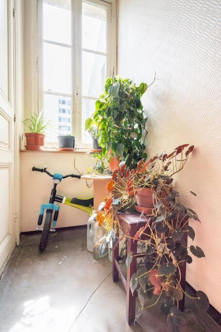 Paris' Sunny Nest * Paris